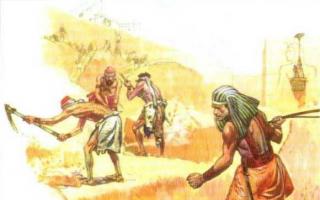 Откуда бежал Моисей и куда он шёл по пустыне сорок лет