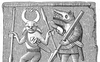 Berserkeri - žestoki vikinški specijalci S jednim ratnikom na terenu