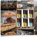 Medicinal mushrooms in traditional Chinese medicine and modern biotechnology - Sysuev V