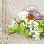 Honey Acacia: useful properties and contraindications of honey acacia benefit and harm