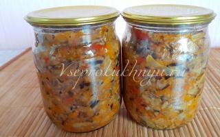 Mushroom solyanka with vegetables for the winter