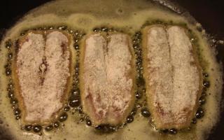 Pržena haringa: recepti za kuhanje Kako pržiti slanu haringu u tiganju