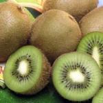 Kiwi: kalórie, prospešné vlastnosti a poškodenie kiwi