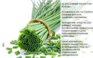 Green onions - What benefit will it use it?