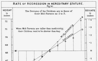 Understanding Regression to the Mean Application in the World of Finance