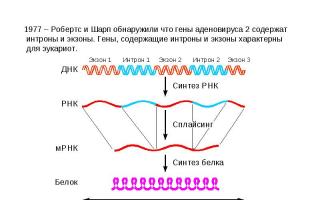 Procesna biohemija.  Obrada, spajanje.  Uloga RNK u procesu realizacije nasljednih informacija.  Komponente obrade