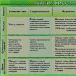 Types of plant tissues and their functions