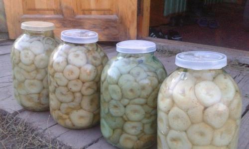 Hot-salted milk mushrooms for the winter in jars - the best recipes for quick cooking of mushrooms