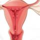Go to the gynecologist what you need to know