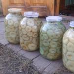 Hot-salted milk mushrooms for the winter in jars - the best recipes for quick cooking of mushrooms