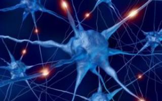Neurophysiological studies of brain activity during remote telekinesis Neurophysiological examination