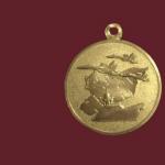 रूसी संघ के रक्षा मंत्रालय का पदक 