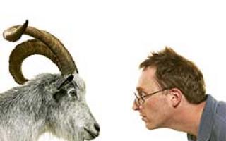 Characteristics of a Gemini - Goat (Sheep) man from A to Z!