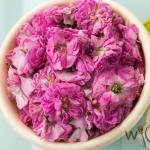 Чайная роза: полезные свойства и рецепт ликера Как приготовить ликер из роз