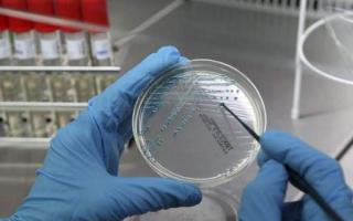 E. coli v nátere: liečba a následky