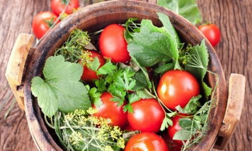 Kako posoliti paradajz na jednostavan hladan način u kanti, buretu, tiganju, tegli?