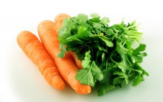 When can you give carrot puree for babies, how much to cook, recipe