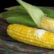 Jak ugotować kukurydzę w kolbie