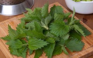 Nettle soup with egg - simple and intricate recipes