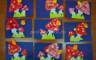 Summary of a lesson on appliqué with drawing elements “Amanita” for children of the senior group of preschool educational institutions