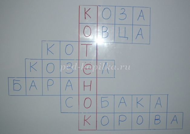 veľký péro šťavnaté mačička